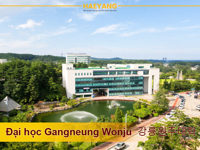 truong-dai-hoc-quoc-gia-gangneung-wonju